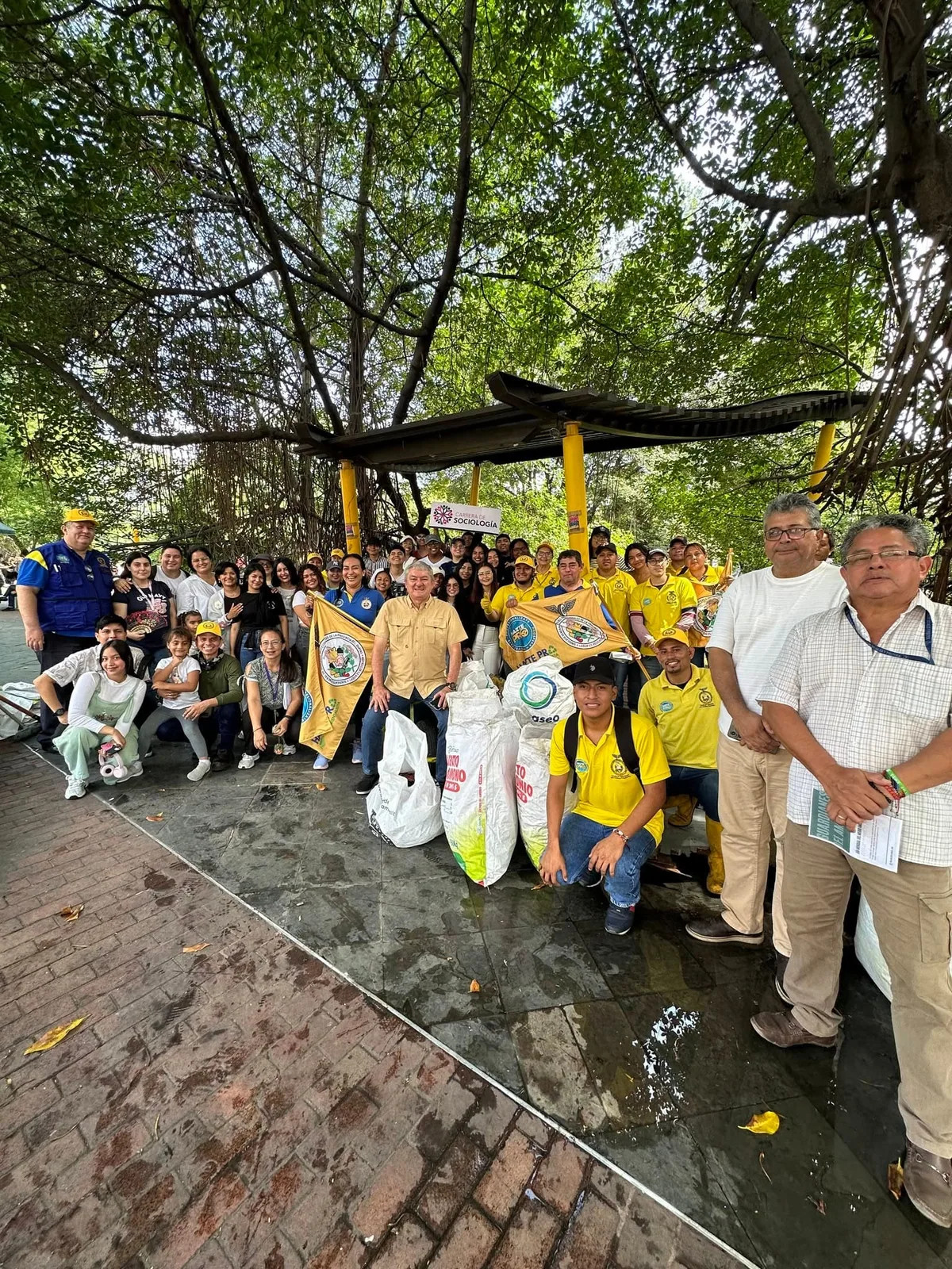 Foto de la galería 7